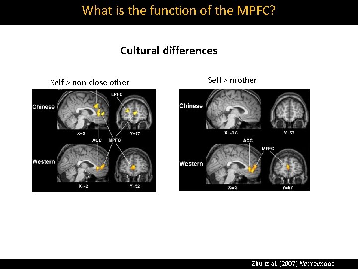What is the function of the MPFC? Cultural differences Self > non‐close other Self