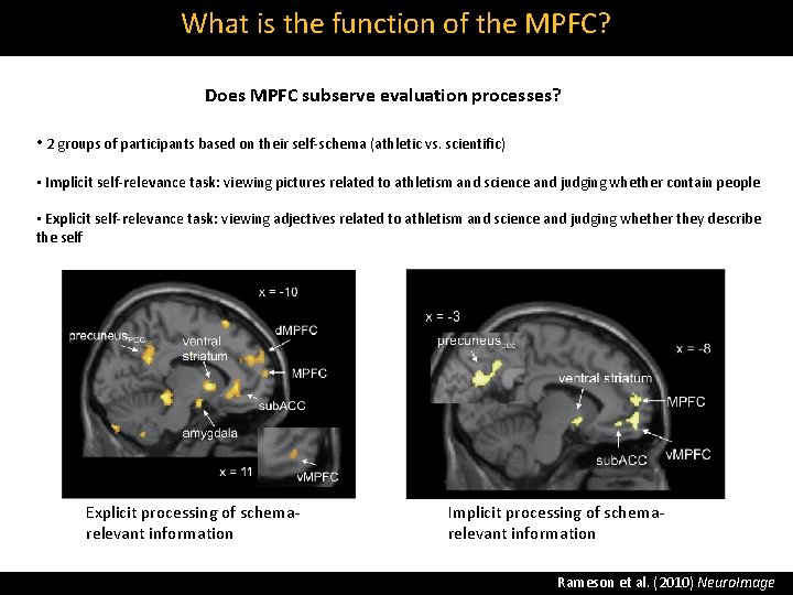 What is the function of the MPFC? Does MPFC subserve evaluation processes? • 2