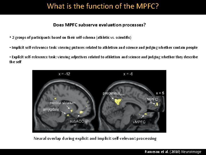 What is the function of the MPFC? Does MPFC subserve evaluation processes? • 2
