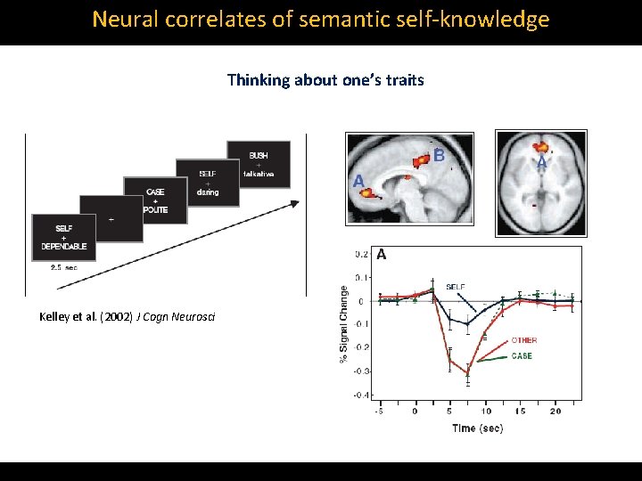 Neural correlates of semantic self‐knowledge Thinking about one’s traits Kelley et al. (2002) J