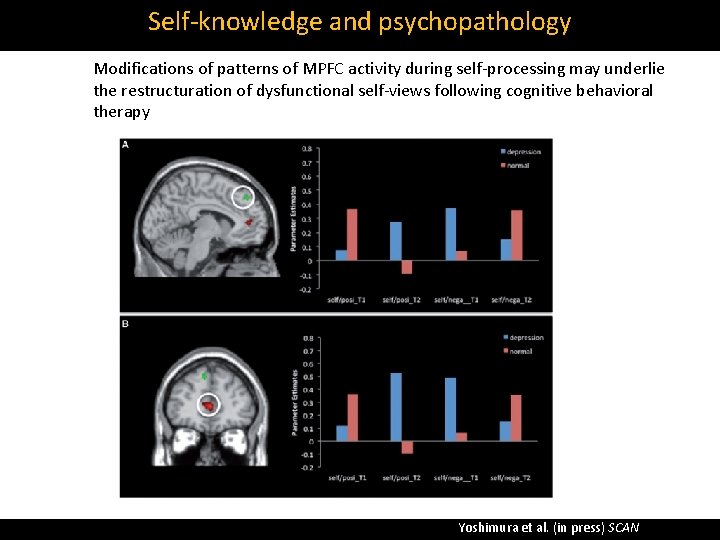 Self‐knowledge and psychopathology Modifications of patterns of MPFC activity during self‐processing may underlie the