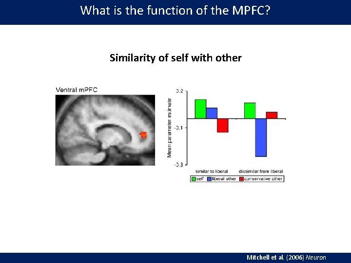 What is the function of the MPFC? Similarity of self with other Mitchell et