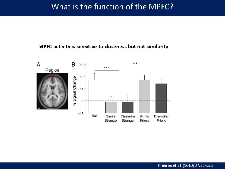 What is the function of the MPFC? MPFC activity is sensitive to closeness but