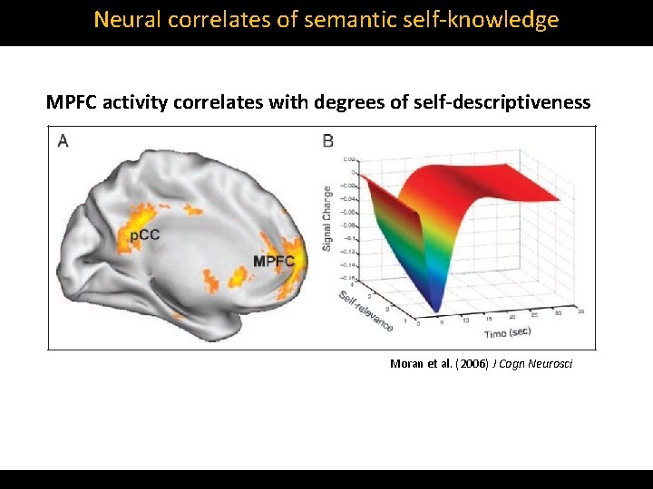 Neural correlates of semantic self‐knowledge MPFC activity correlates with degrees of self-descriptiveness Moran et