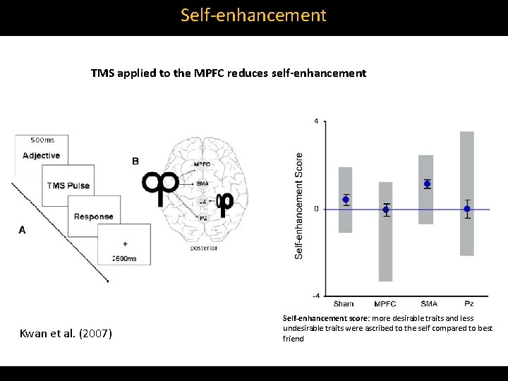 Self‐enhancement TMS applied to the MPFC reduces self-enhancement Kwan et al. (2007) Self-enhancement score: