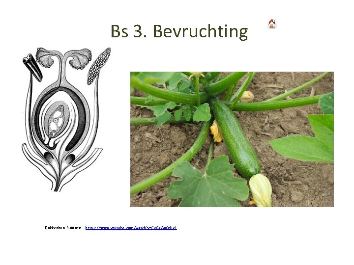 Bs 3. Bevruchting Klokkenhuis 9. 00 min. https: //www. youtube. com/watch? v=Cx. Ge. Wa.