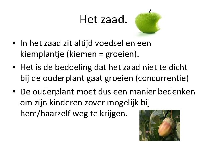 Het zaad. • In het zaad zit altijd voedsel en een kiemplantje (kiemen =