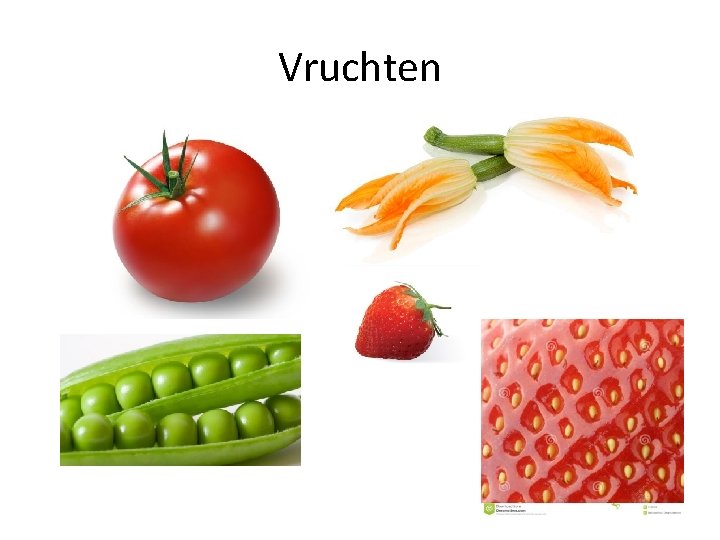 Vruchten 