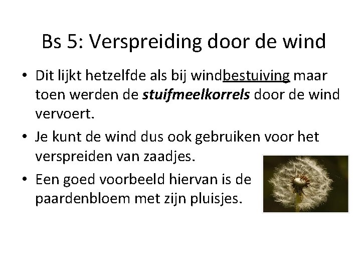 Bs 5: Verspreiding door de wind • Dit lijkt hetzelfde als bij windbestuiving maar