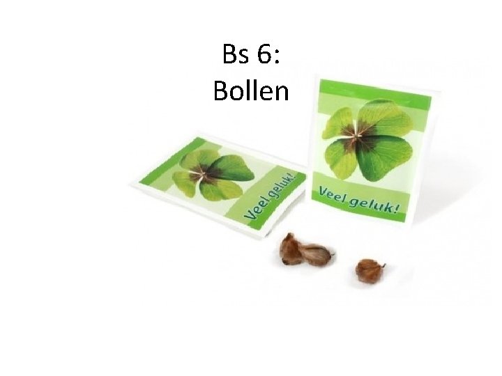 Bs 6: Bollen 