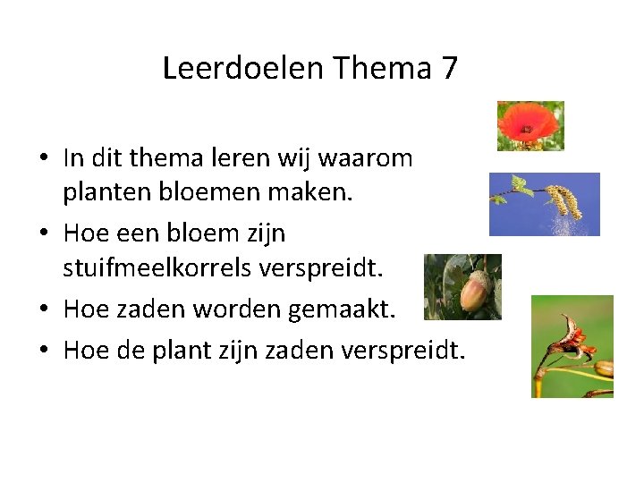 Leerdoelen Thema 7 • In dit thema leren wij waarom planten bloemen maken. •