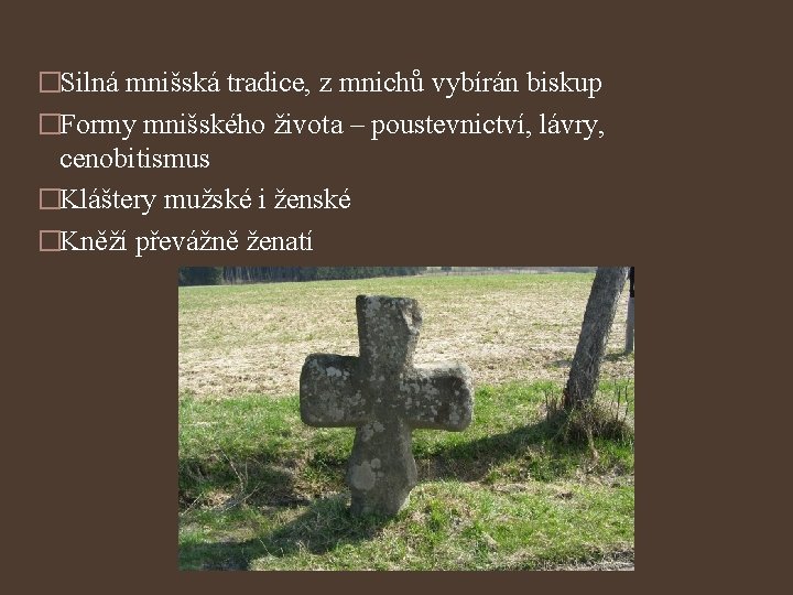 �Silná mnišská tradice, z mnichů vybírán biskup �Formy mnišského života – poustevnictví, lávry, cenobitismus