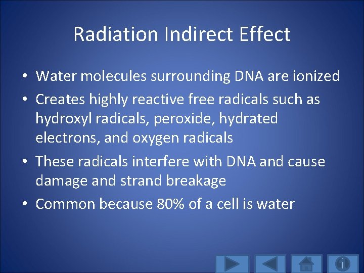 Radiation Indirect Effect • Water molecules surrounding DNA are ionized • Creates highly reactive