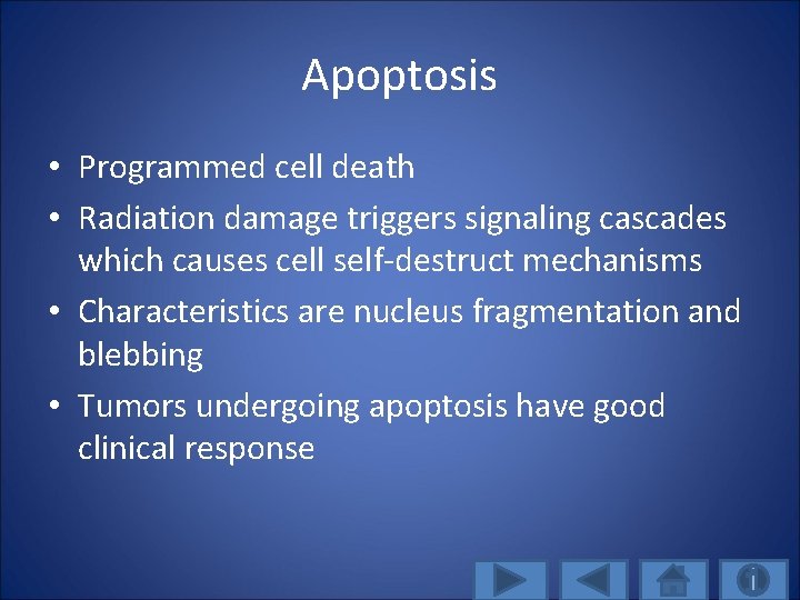 Apoptosis • Programmed cell death • Radiation damage triggers signaling cascades which causes cell