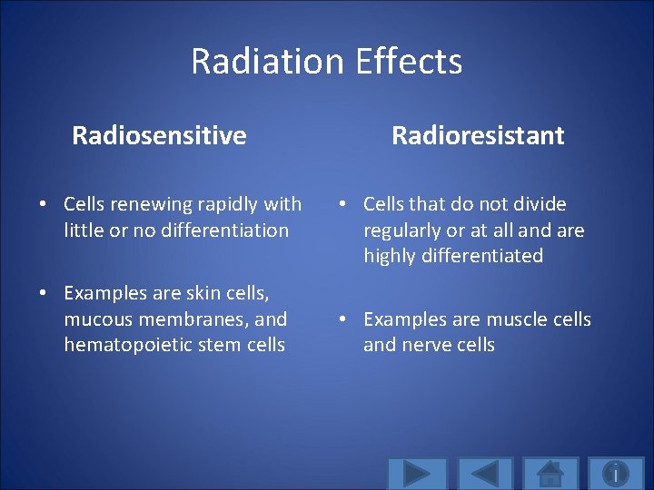 Radiation Effects Radiosensitive • Cells renewing rapidly with little or no differentiation • Examples