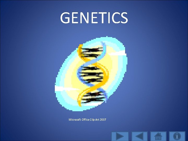 GENETICS Microsoft Office Clip Art 2007 