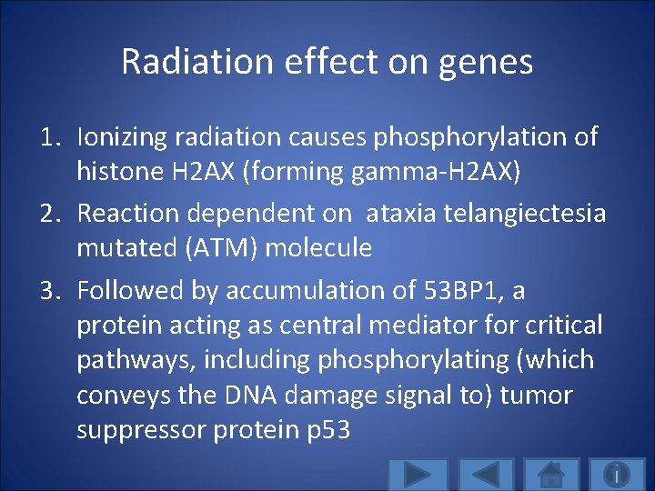 Radiation effect on genes 1. Ionizing radiation causes phosphorylation of histone H 2 AX