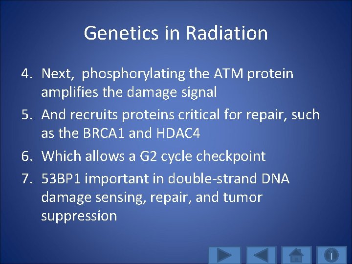 Genetics in Radiation 4. Next, phosphorylating the ATM protein amplifies the damage signal 5.