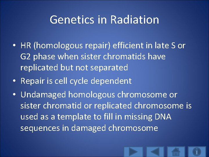 Genetics in Radiation • HR (homologous repair) efficient in late S or G 2