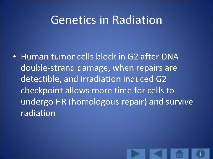 Genetics in Radiation • Human tumor cells block in G 2 after DNA double-strand