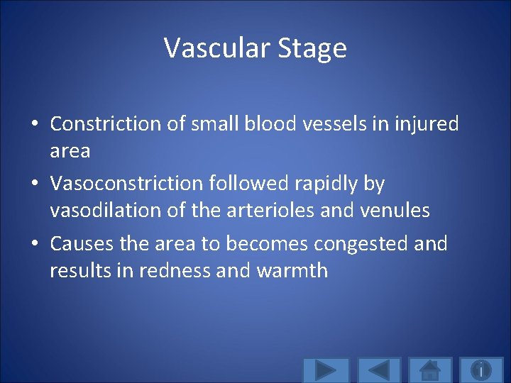 Vascular Stage • Constriction of small blood vessels in injured area • Vasoconstriction followed