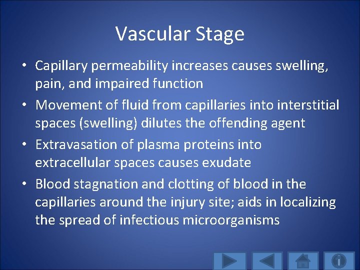 Vascular Stage • Capillary permeability increases causes swelling, pain, and impaired function • Movement