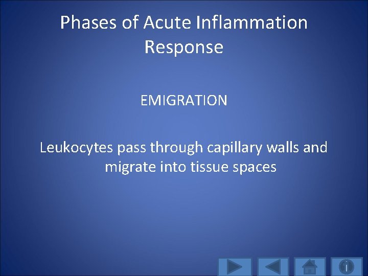 Phases of Acute Inflammation Response EMIGRATION Leukocytes pass through capillary walls and migrate into