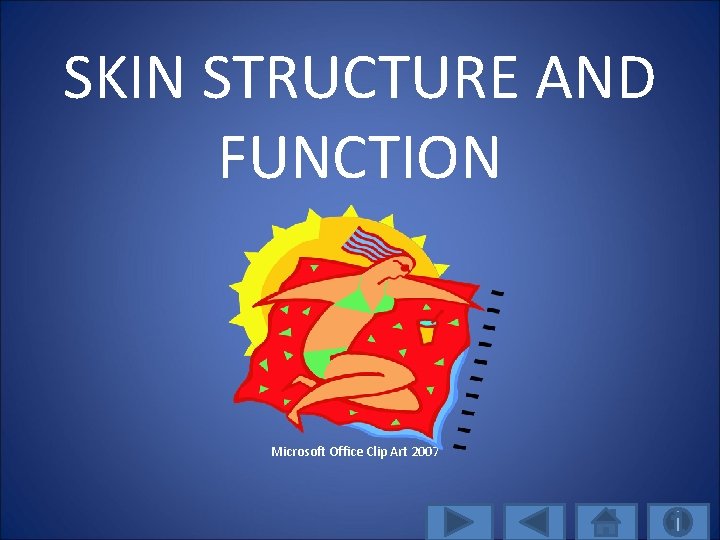 SKIN STRUCTURE AND FUNCTION Microsoft Office Clip Art 2007 