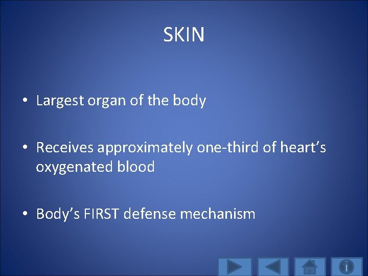 SKIN • Largest organ of the body • Receives approximately one-third of heart’s oxygenated