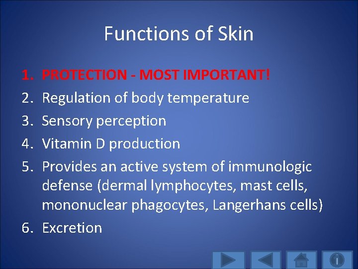 Functions of Skin 1. 2. 3. 4. 5. PROTECTION - MOST IMPORTANT! Regulation of