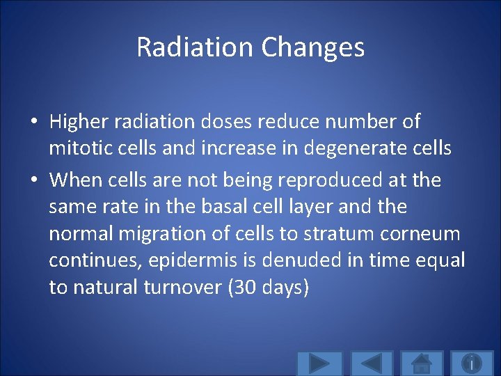 Radiation Changes • Higher radiation doses reduce number of mitotic cells and increase in