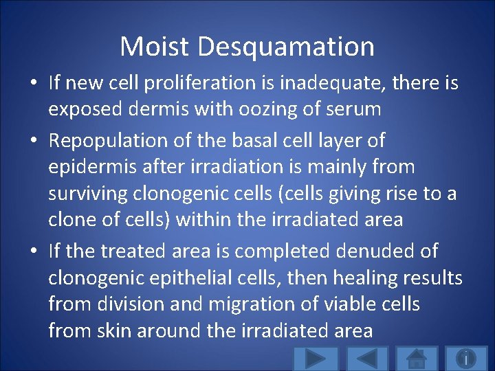 Moist Desquamation • If new cell proliferation is inadequate, there is exposed dermis with
