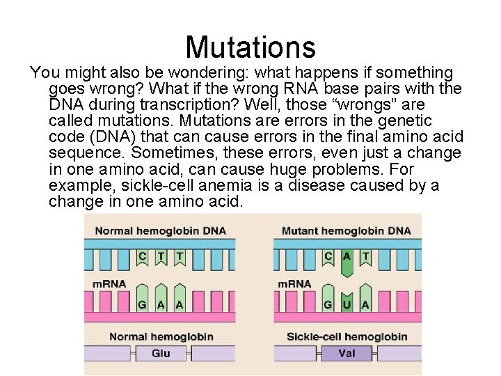 Mutations You might also be wondering: what happens if something goes wrong? What if