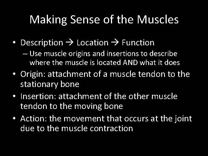 Making Sense of the Muscles • Description Location Function – Use muscle origins and
