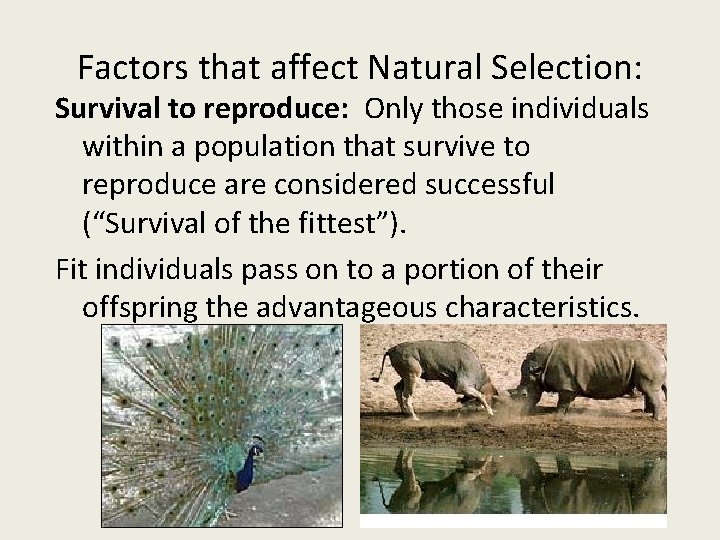 Factors that affect Natural Selection: Survival to reproduce: Only those individuals within a population