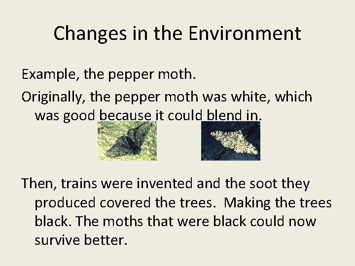 Changes in the Environment Example, the pepper moth. Originally, the pepper moth was white,