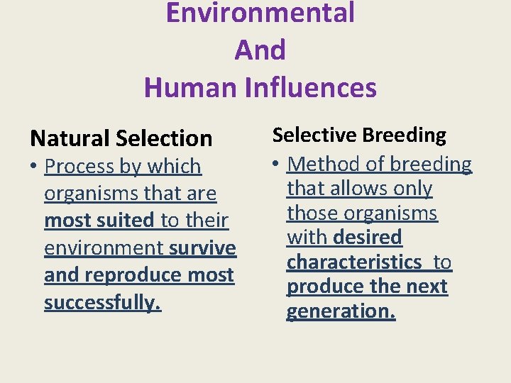 Environmental And Human Influences Natural Selection • Process by which organisms that are most
