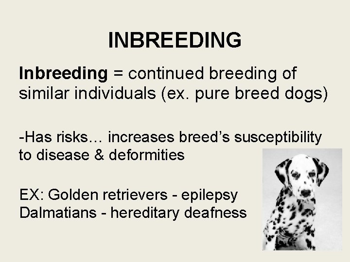 INBREEDING Inbreeding = continued breeding of similar individuals (ex. pure breed dogs) -Has risks…