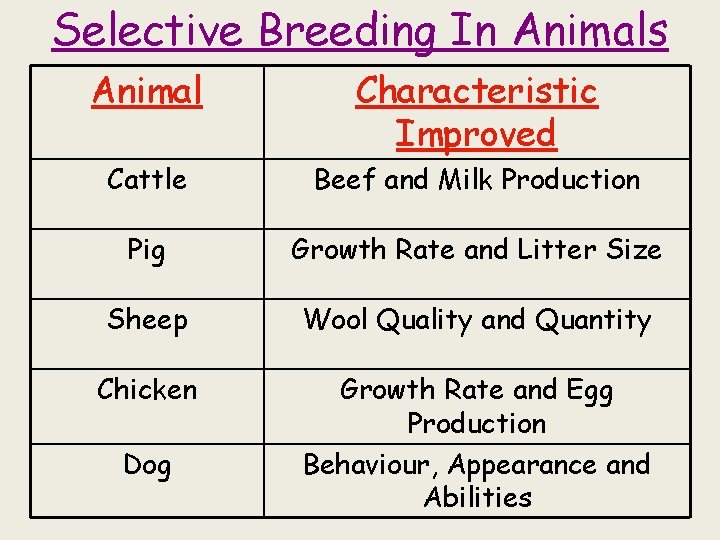 Selective Breeding In Animals Animal Characteristic Improved Cattle Beef and Milk Production Pig Growth