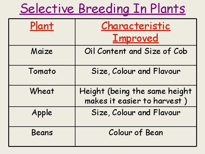 Selective Breeding In Plants Plant Characteristic Improved Maize Oil Content and Size of Cob