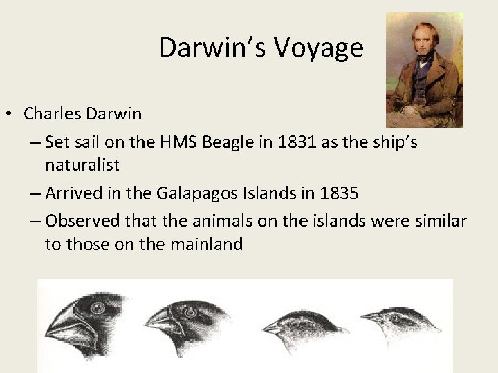 Darwin’s Voyage • Charles Darwin – Set sail on the HMS Beagle in 1831