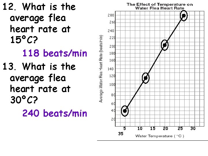 12. What is the average flea heart rate at 15ºC? 118 beats/min 13. What