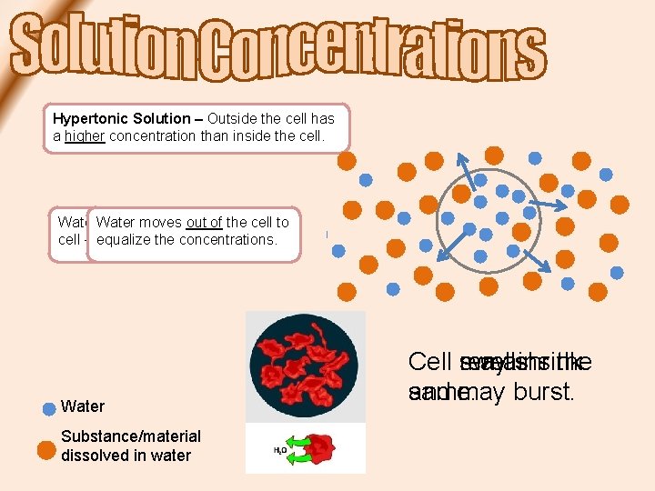 Hypertonic Hypotonic Isotonic Solution – The ––Outside concentrations thecellhas are the a lower higher