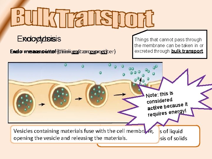 Endocytosis Exocytosis Endo= =means Exo meansout into of(thinkentrance exit or export) or enter) Things