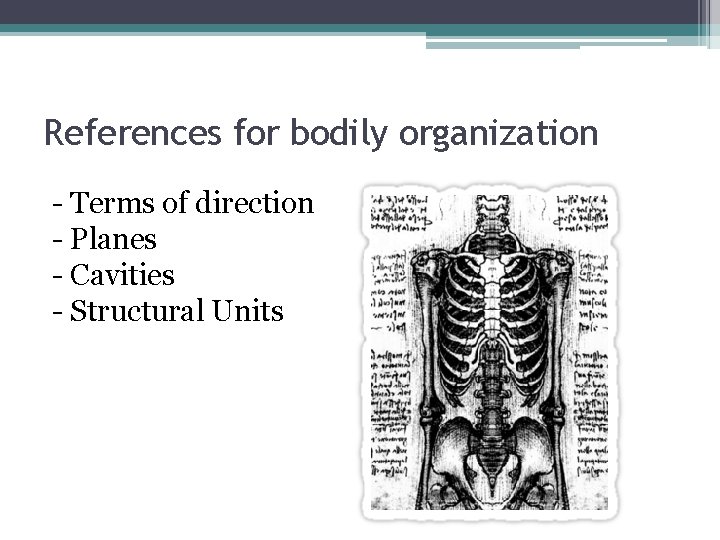References for bodily organization - Terms of direction - Planes - Cavities - Structural