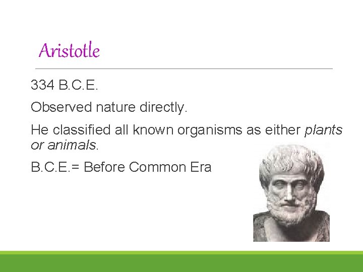 Aristotle 334 B. C. E. Observed nature directly. He classified all known organisms as