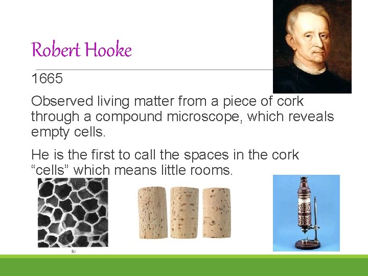 Robert Hooke 1665 Observed living matter from a piece of cork through a compound