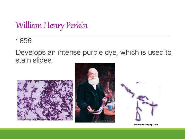 William Henry Perkin 1856 Develops an intense purple dye, which is used to stain