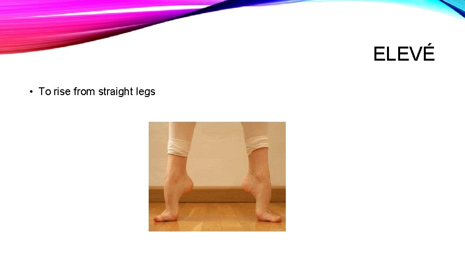 ELEVÉ • To rise from straight legs 