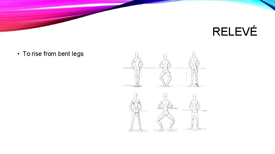 RELEVÉ • To rise from bent legs 